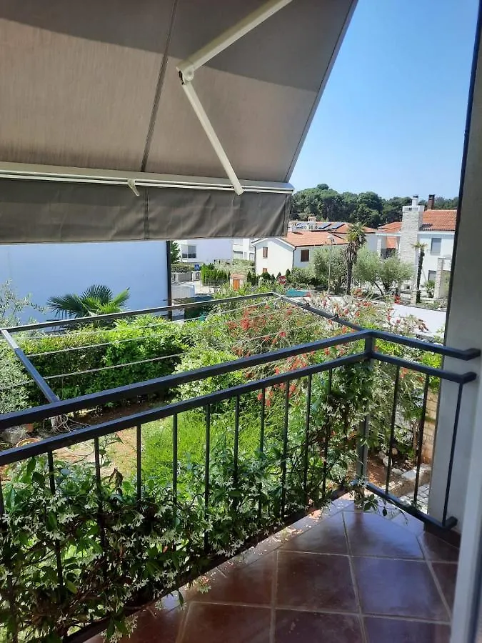 Premium Apartment Sunny