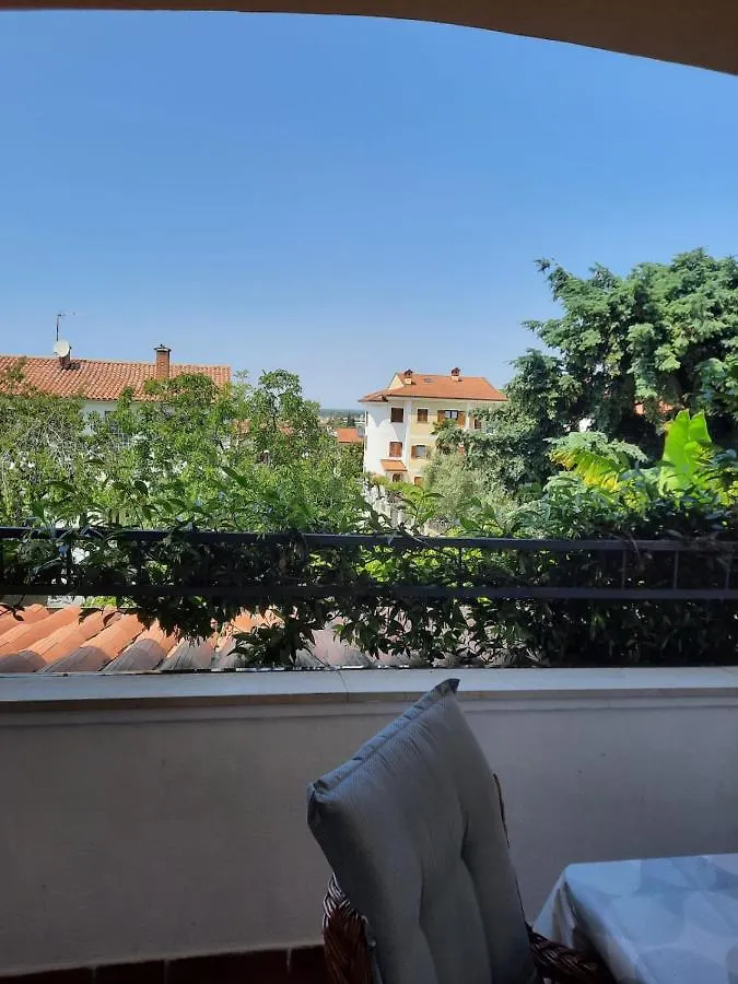 Premium Apartment Sunny